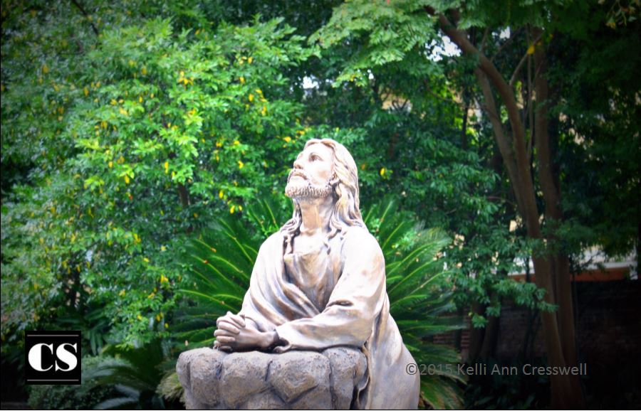 It Doesn’t Pay to Argue on the Internet